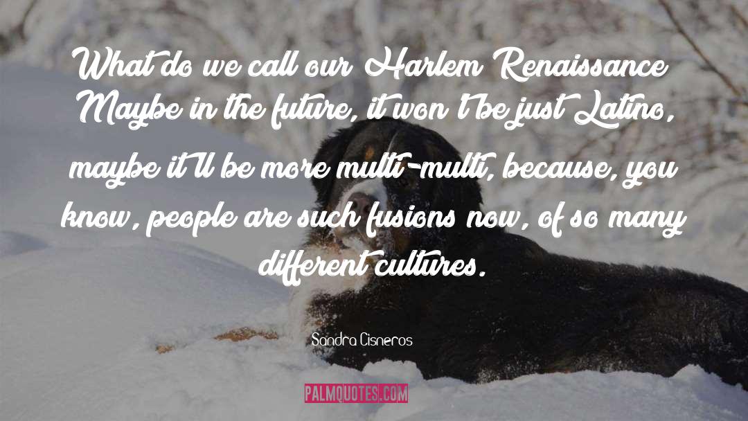 Different Cultures quotes by Sandra Cisneros