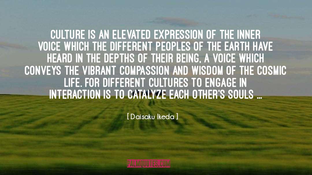 Different Cultures quotes by Daisaku Ikeda