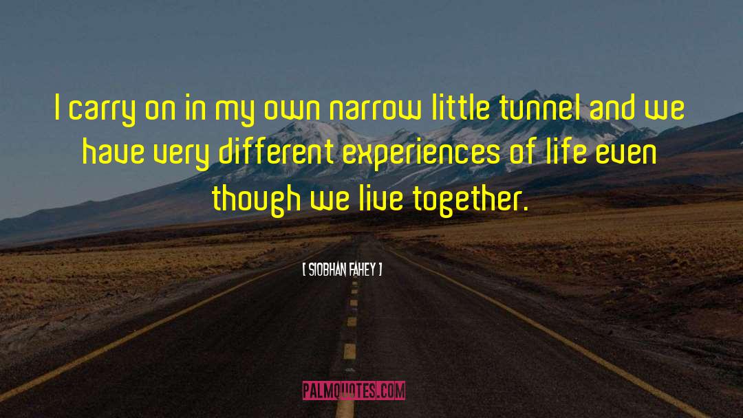 Different Experiences quotes by Siobhan Fahey