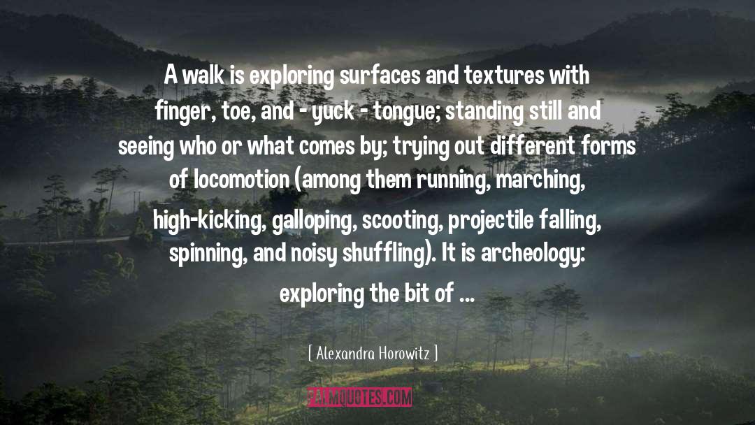 Different Forms quotes by Alexandra Horowitz