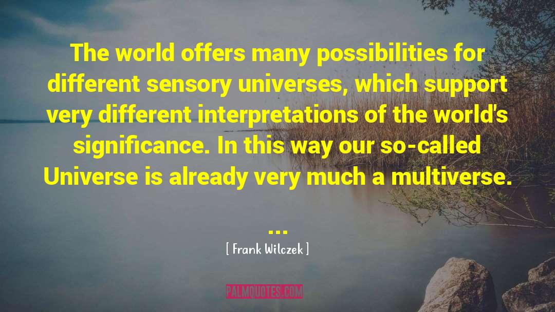 Different Interpretations quotes by Frank Wilczek
