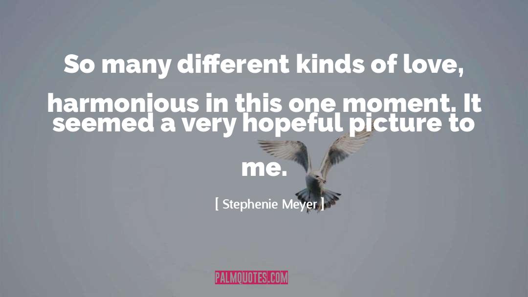 Different Kinds Of Love quotes by Stephenie Meyer