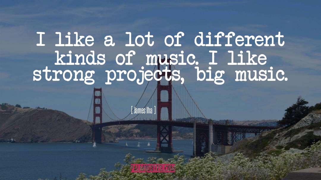 Different Kinds Of Music quotes by James Iha