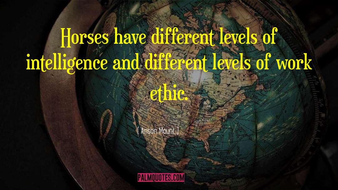 Different Levels quotes by Anson Mount