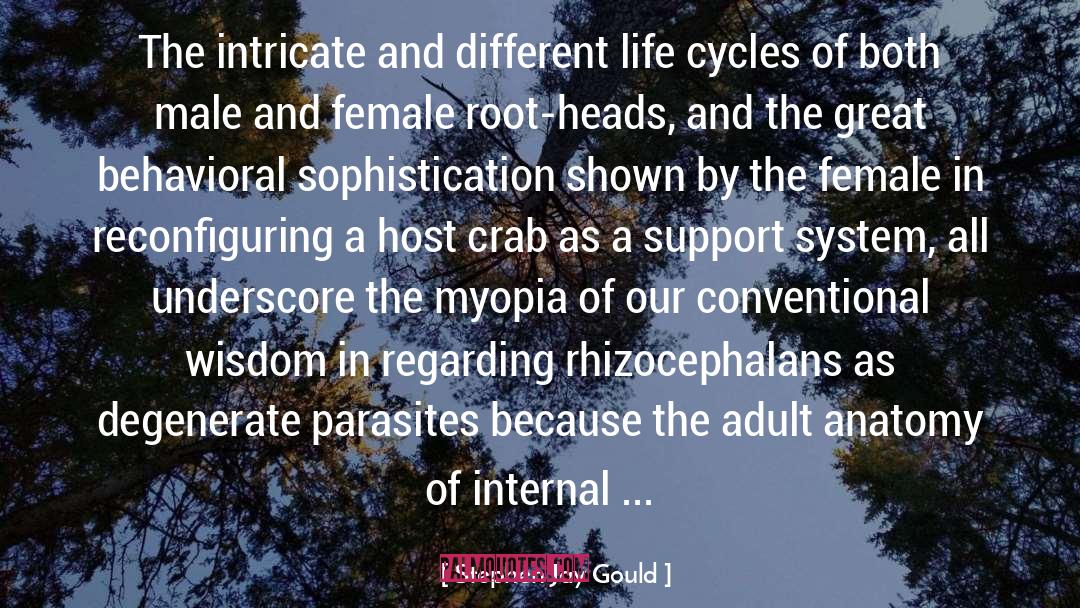 Different Life quotes by Stephen Jay Gould