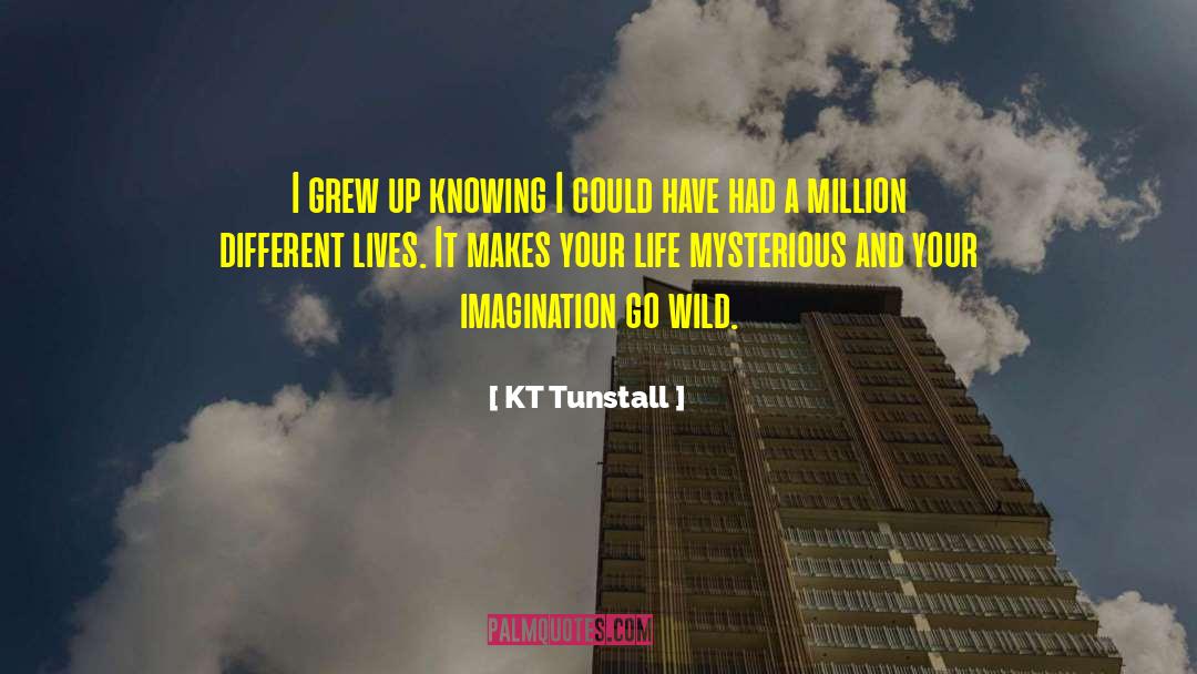 Different Lives quotes by KT Tunstall