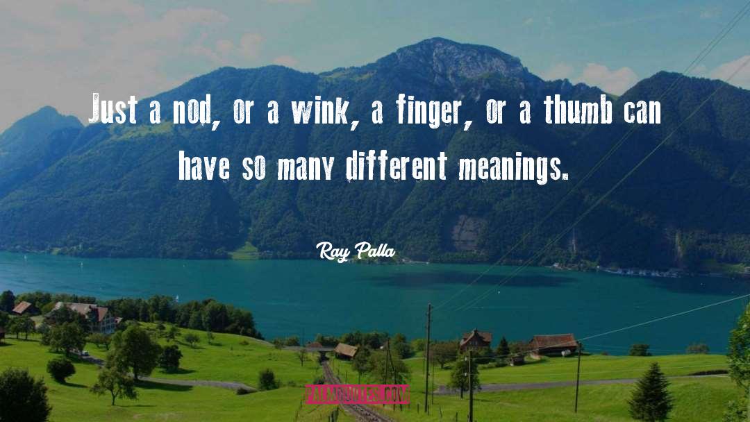 Different Meanings quotes by Ray Palla