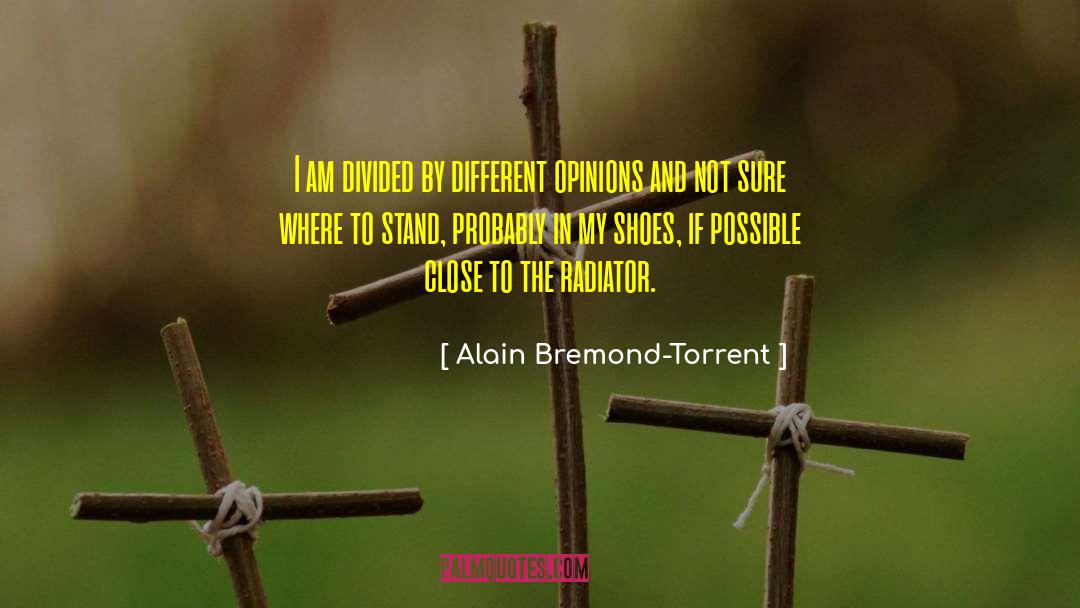 Different Opinions quotes by Alain Bremond-Torrent