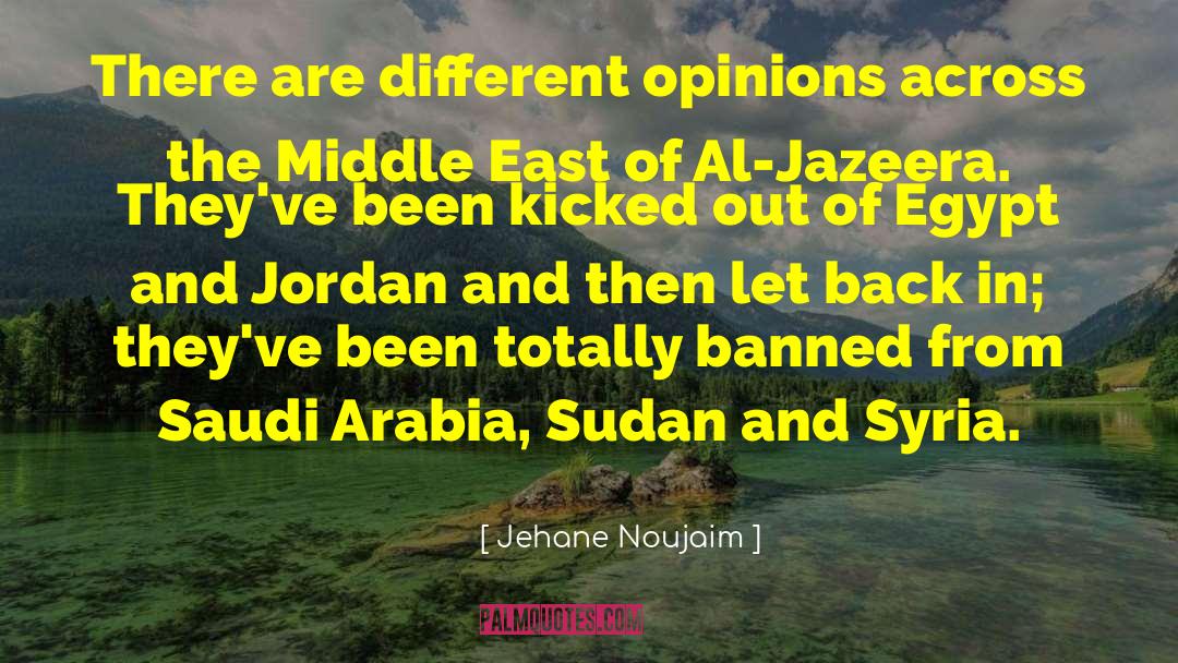 Different Opinions quotes by Jehane Noujaim