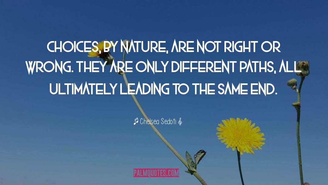 Different Paths quotes by Chelsea Sedoti