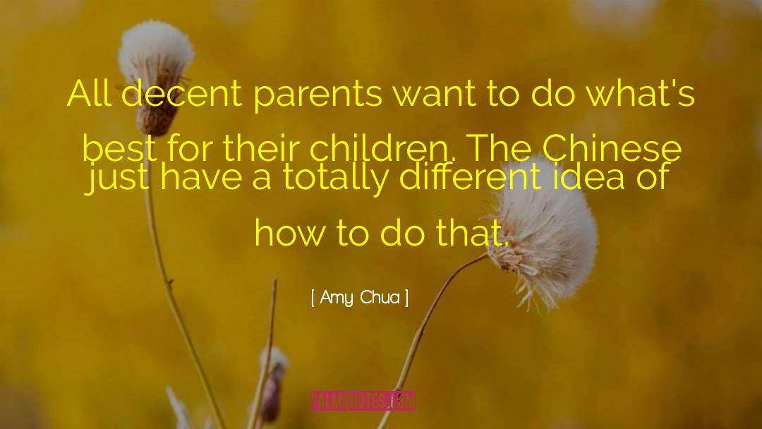 Different Paths quotes by Amy Chua