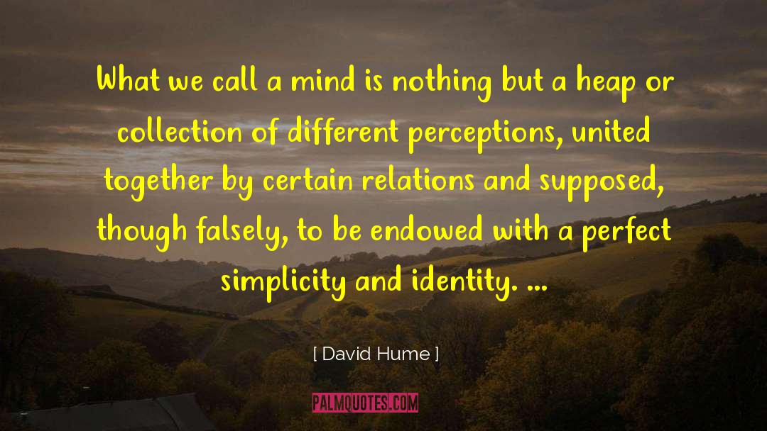 Different Perceptions quotes by David Hume