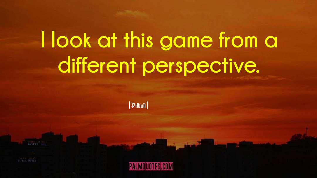 Different Perspective quotes by Pitbull