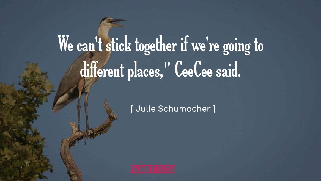 Different Places quotes by Julie Schumacher