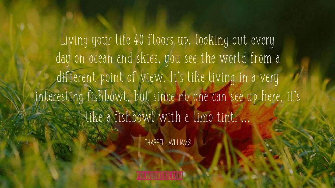 Different Point Of View quotes by Pharrell Williams