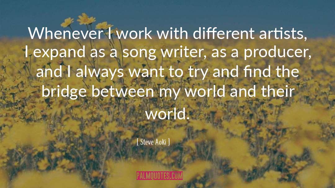 Different Relationships quotes by Steve Aoki