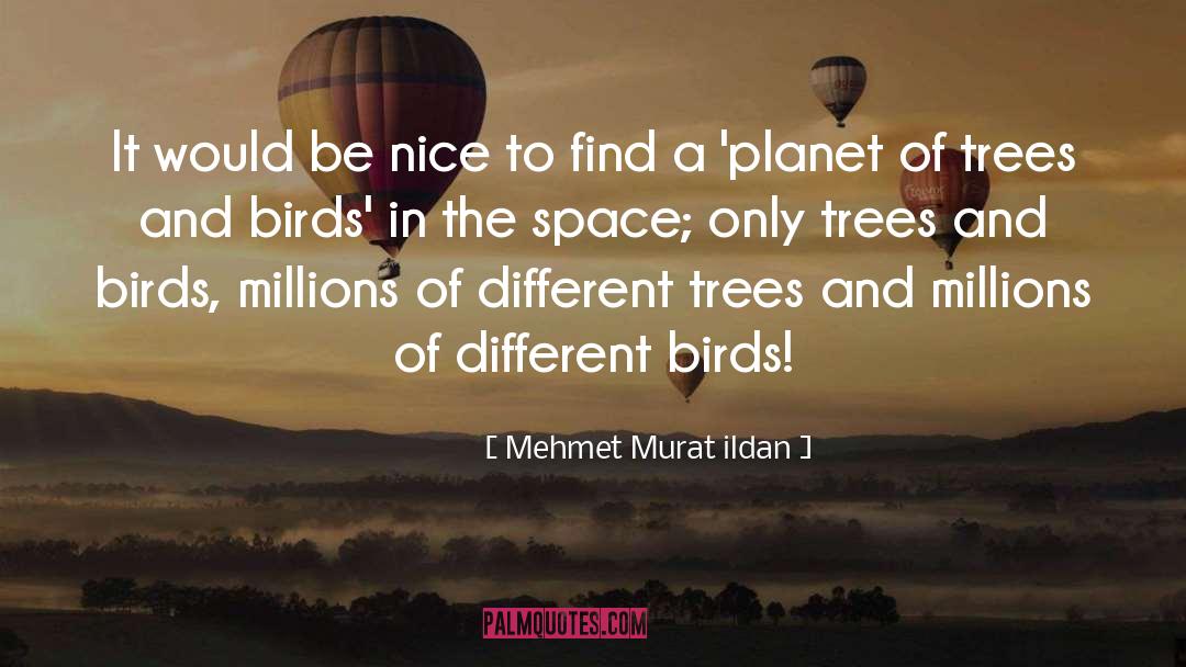 Different Religions quotes by Mehmet Murat Ildan