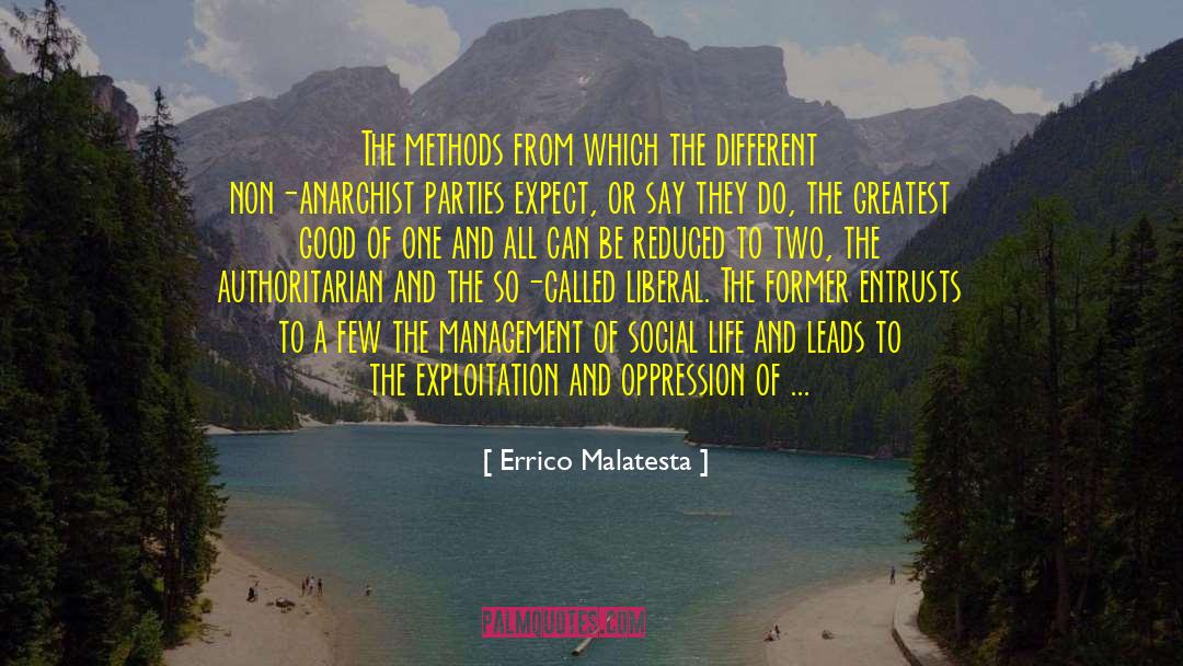 Different Viewpoints quotes by Errico Malatesta