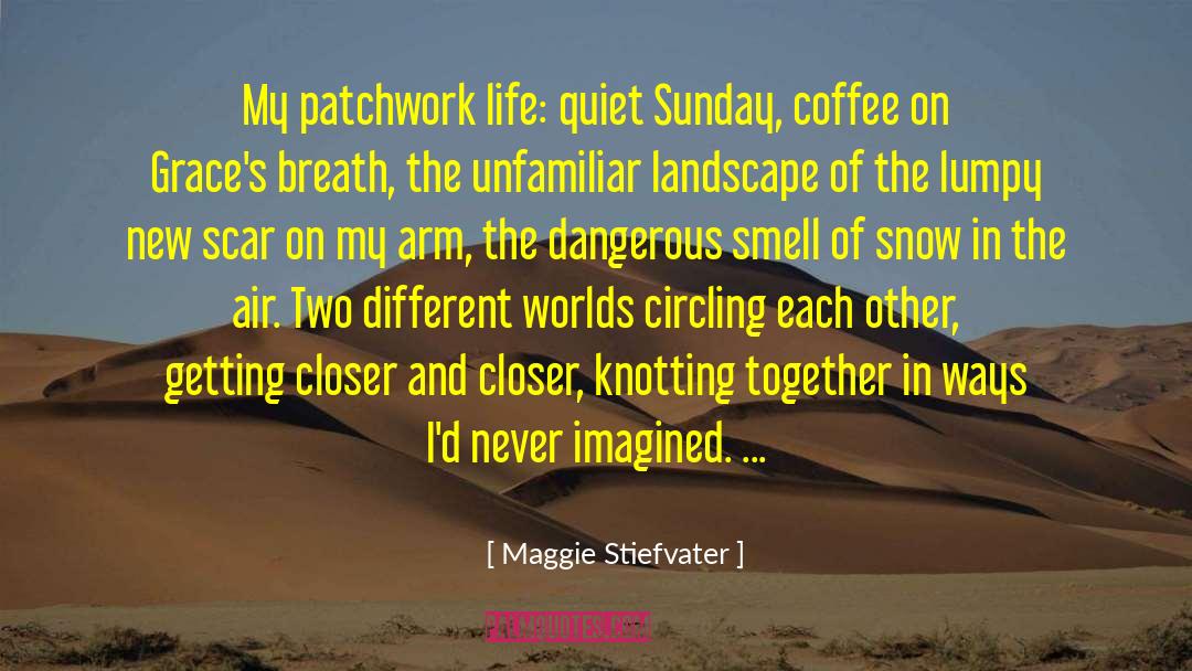 Different Worlds Of Story quotes by Maggie Stiefvater