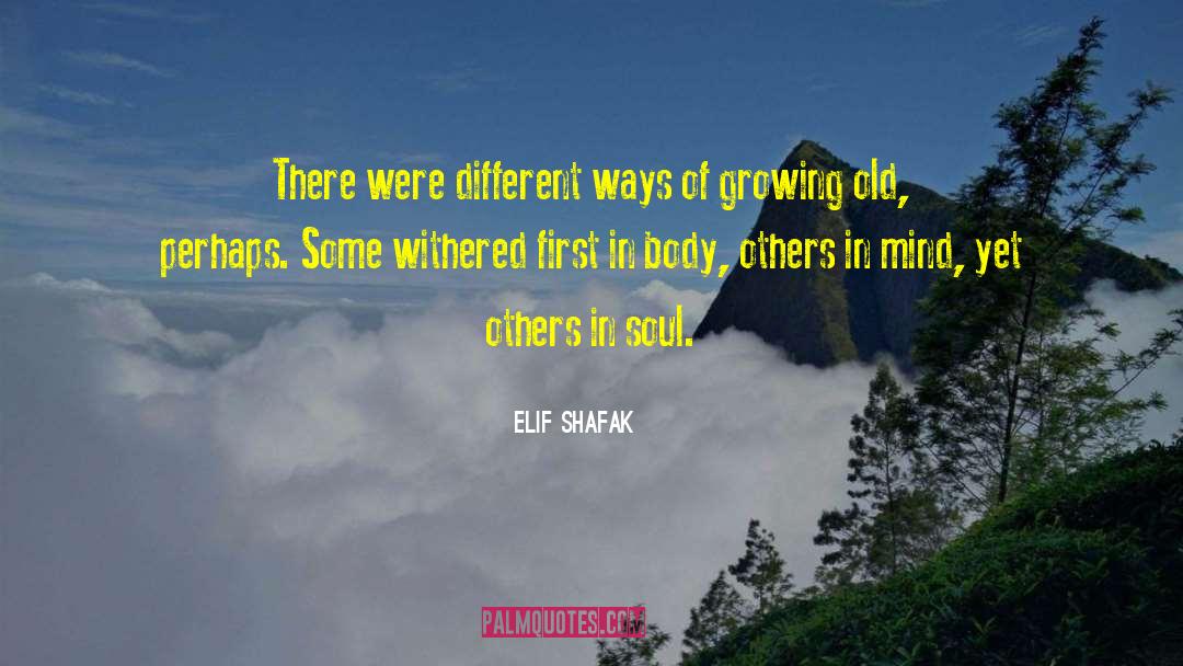 Different Yet Fulfilled quotes by Elif Shafak