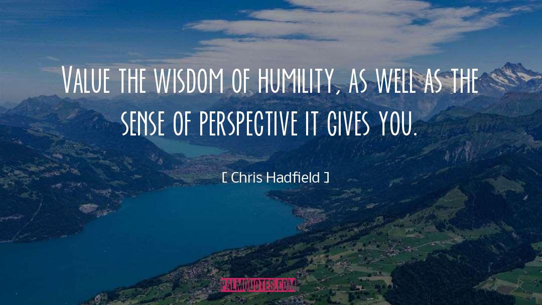 Differnt Perspective quotes by Chris Hadfield