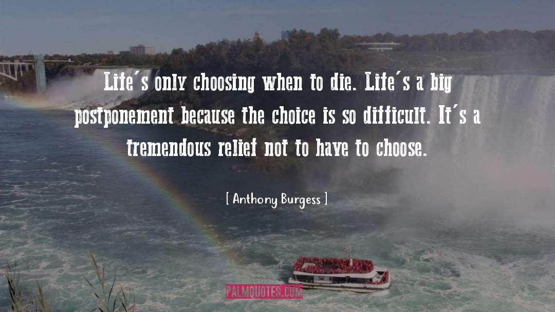 Difficult Choices quotes by Anthony Burgess