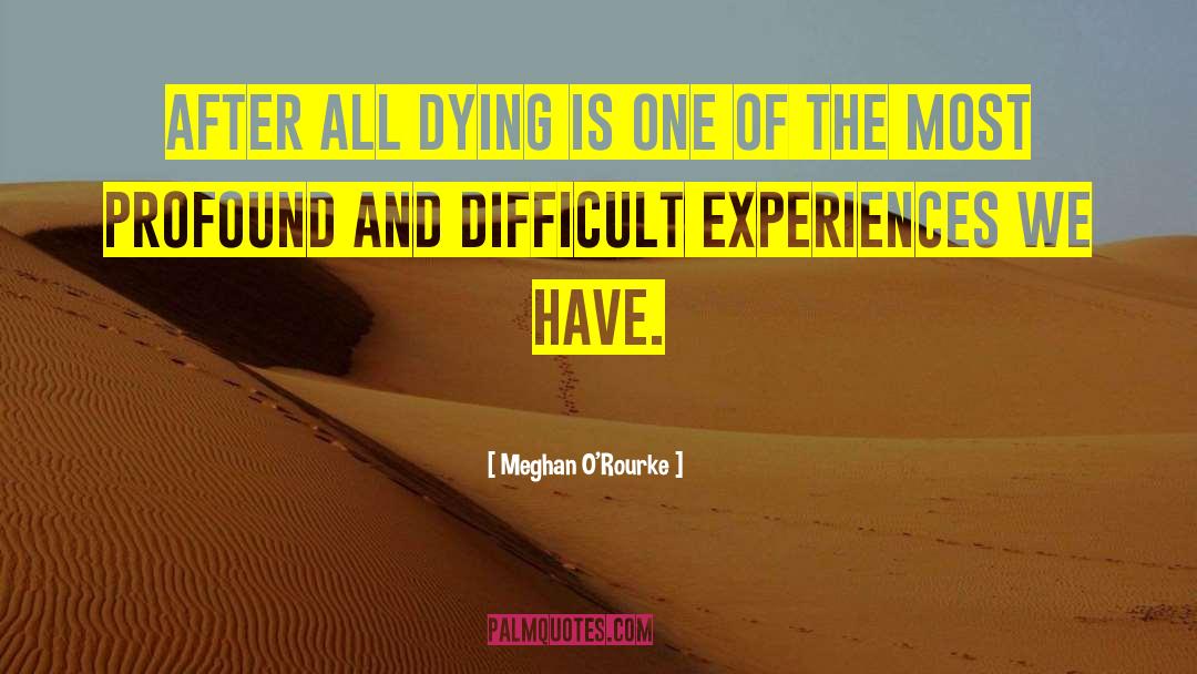 Difficult Experiences quotes by Meghan O'Rourke