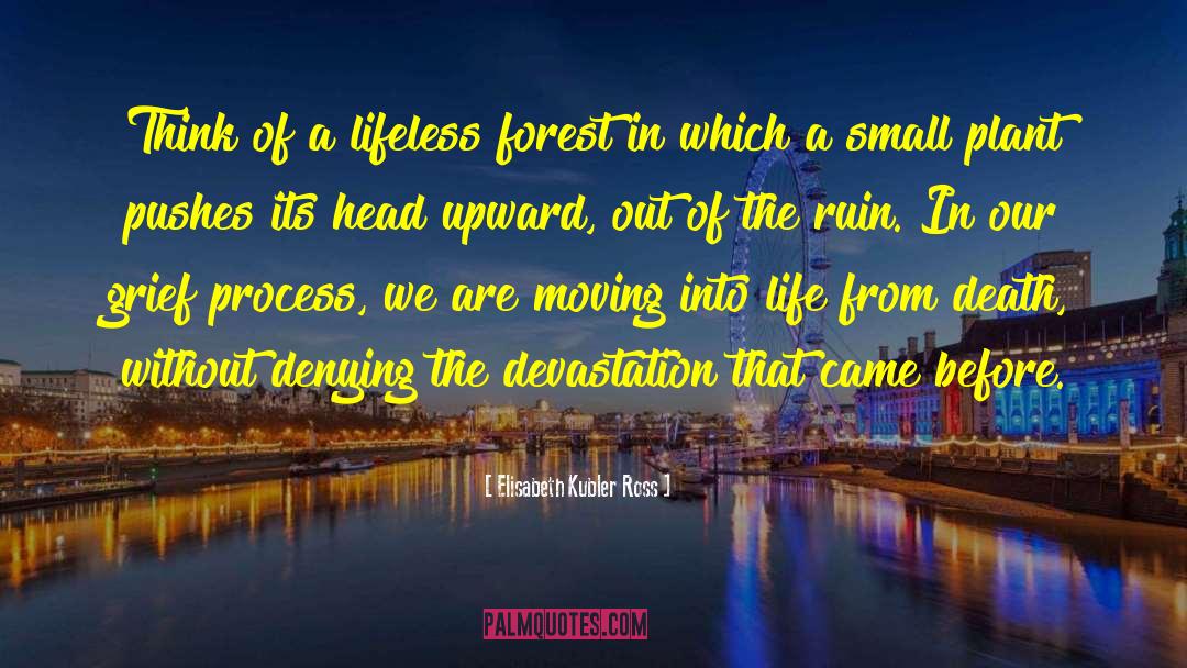 Difficult Life quotes by Elisabeth Kubler Ross