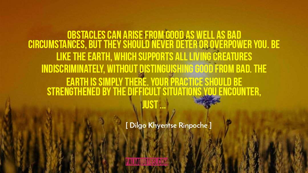 Difficult Situation quotes by Dilgo Khyentse Rinpoche