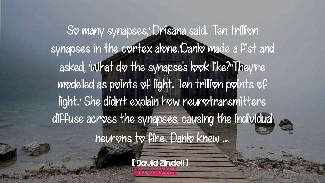 Diffuse quotes by David Zindell