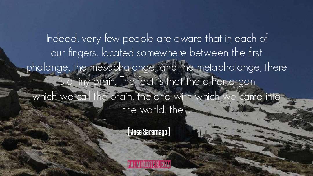 Diffuse quotes by Jose Saramago