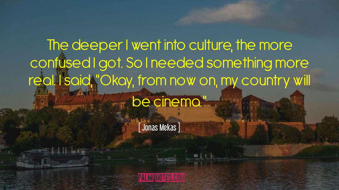 Dig Deeper quotes by Jonas Mekas