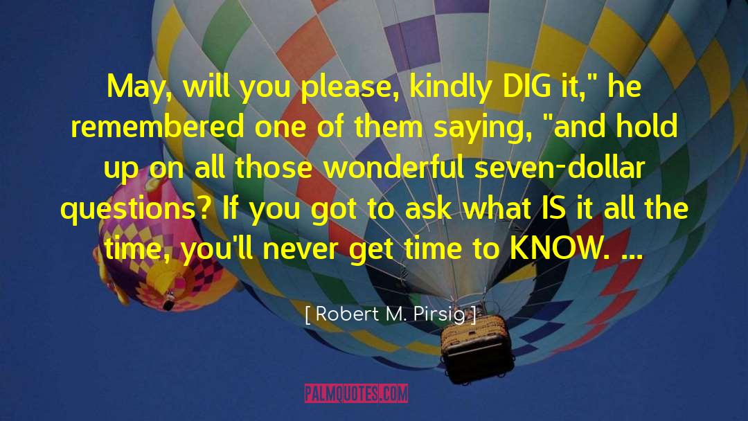Dig It quotes by Robert M. Pirsig
