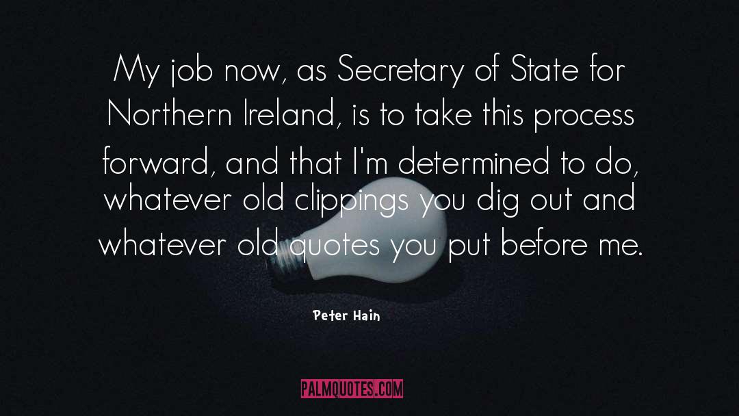 Dig Out quotes by Peter Hain