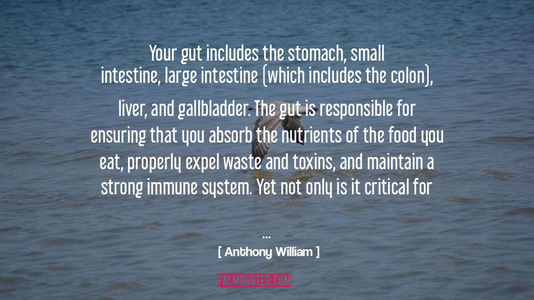 Digestion quotes by Anthony William