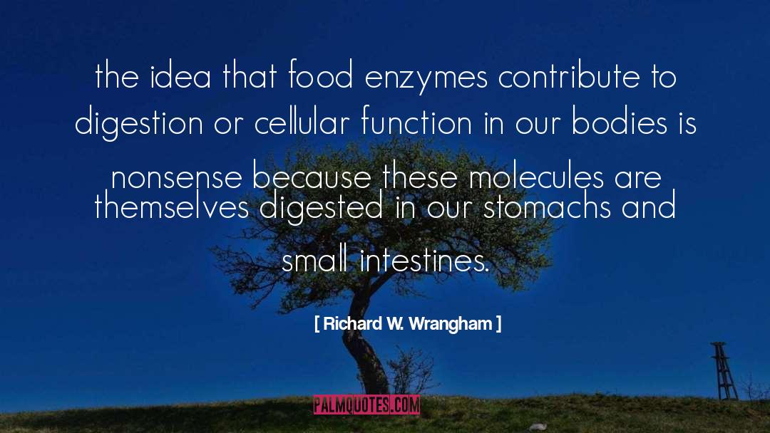 Digestion quotes by Richard W. Wrangham