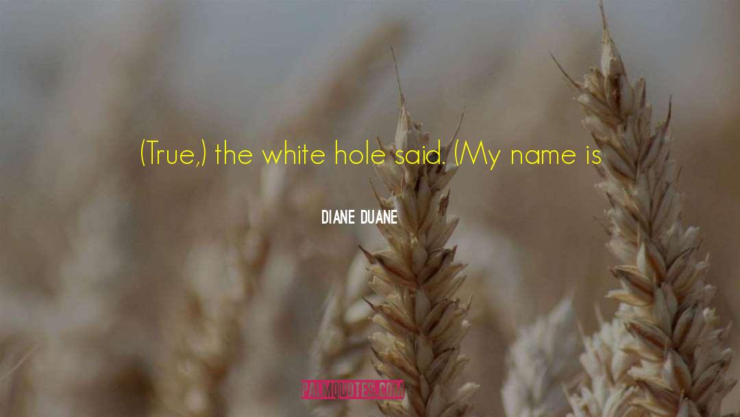 Digging A Hole quotes by Diane Duane