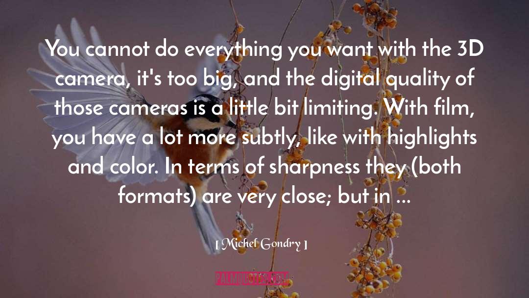 Digital Agility quotes by Michel Gondry