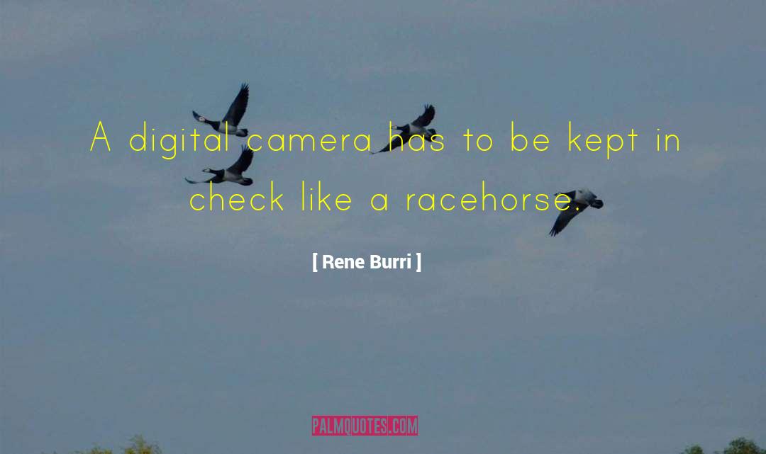 Digital Cameras quotes by Rene Burri