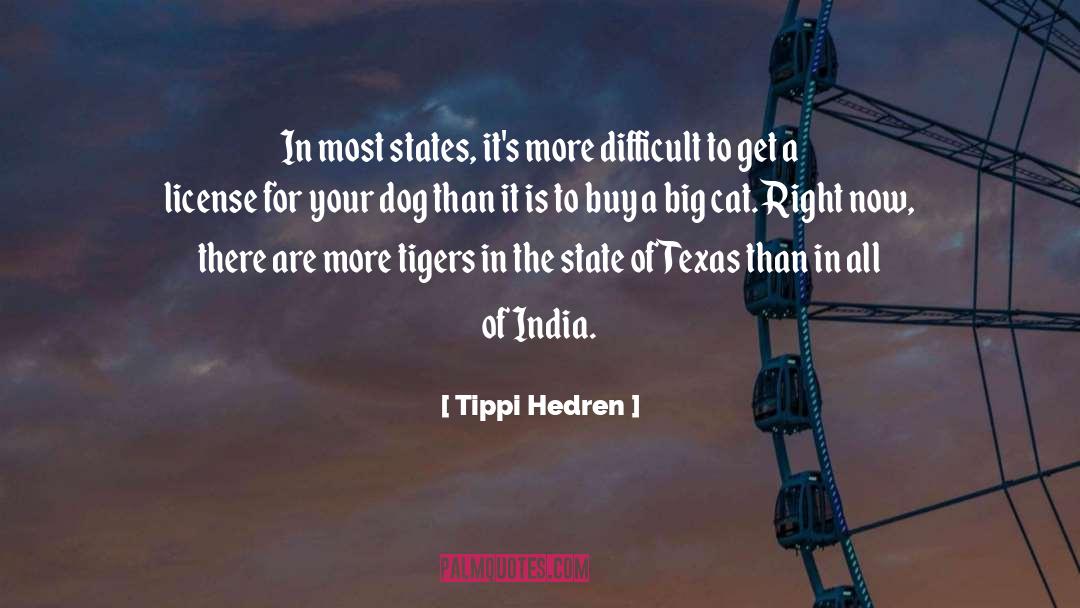 Digital India quotes by Tippi Hedren