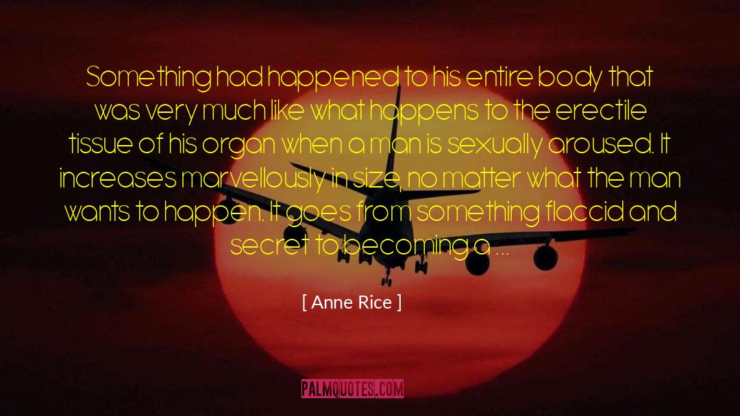 Digital Man quotes by Anne Rice