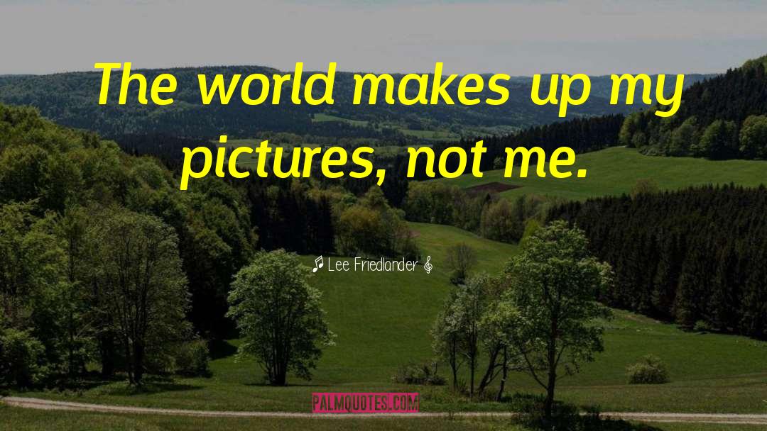 Digital Photography quotes by Lee Friedlander