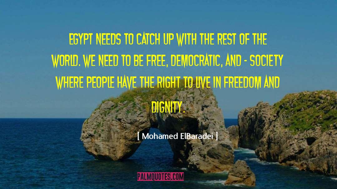 Dignity Freedom Equality quotes by Mohamed ElBaradei