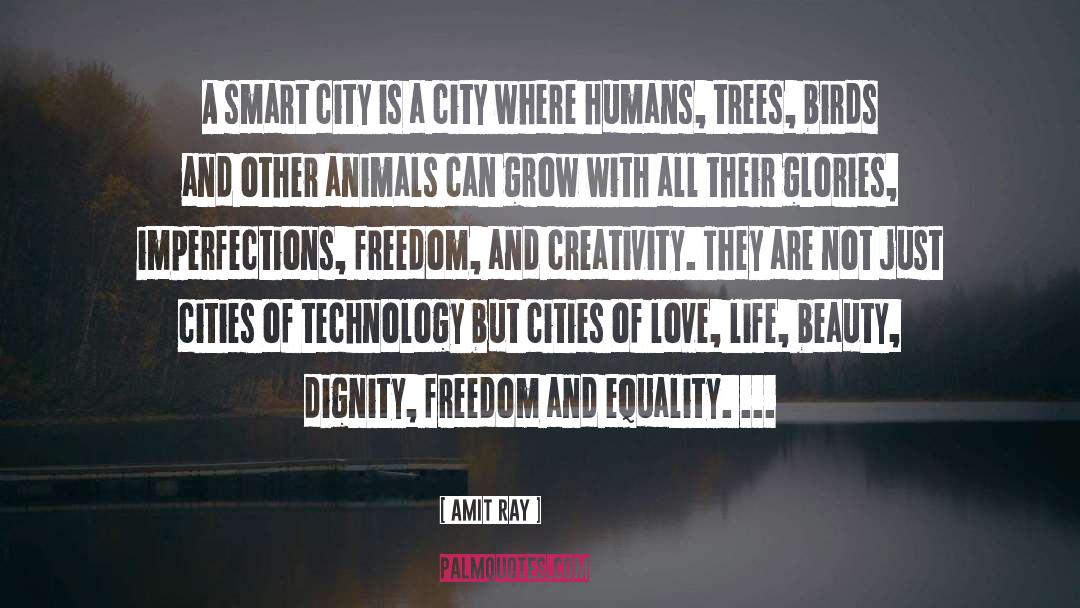 Dignity Freedom Equality quotes by Amit Ray