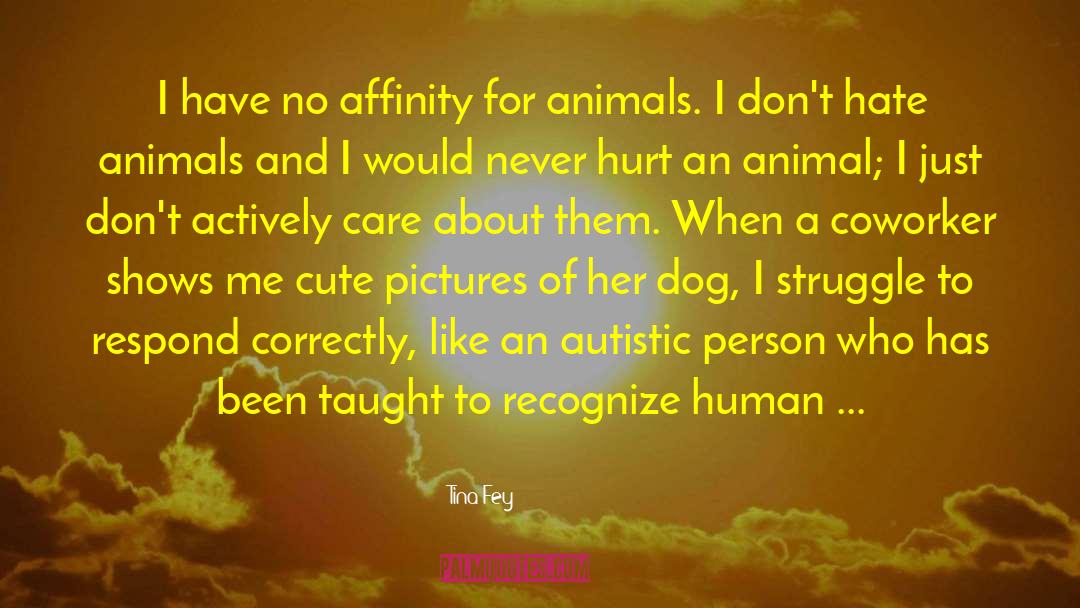 Dignity Of The Human Person quotes by Tina Fey