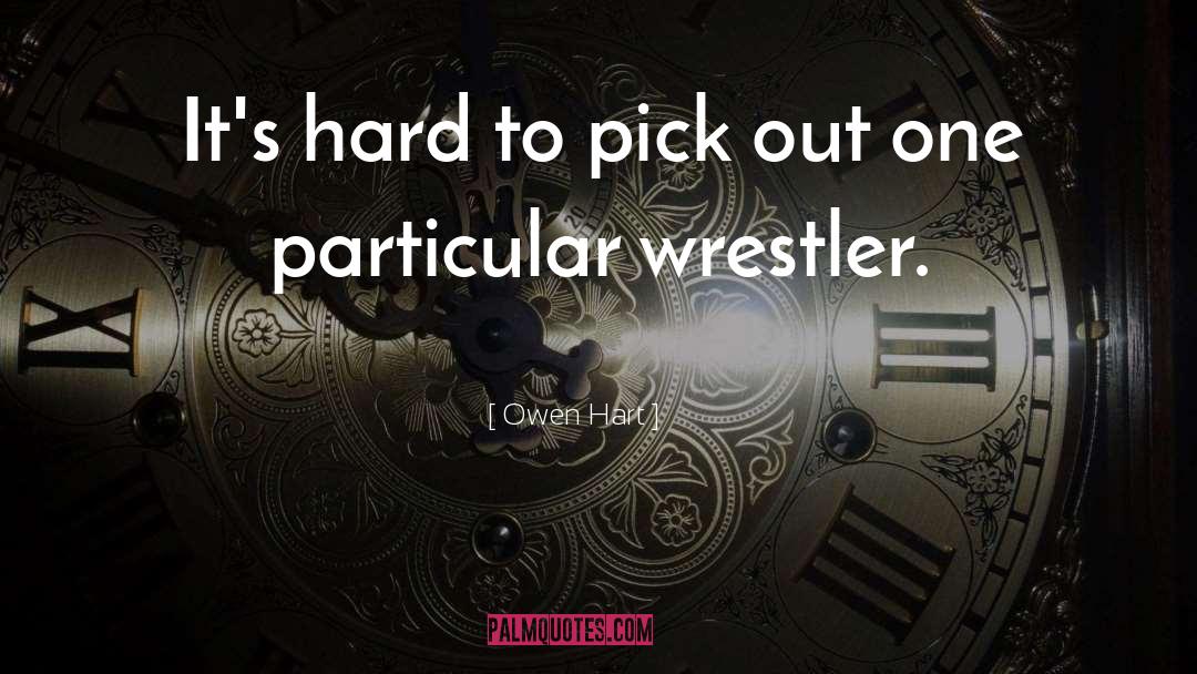 Dijakovic Wrestler quotes by Owen Hart