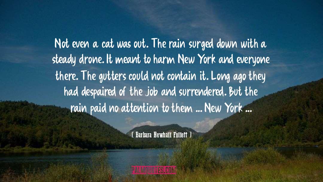 Dijelovi New York quotes by Barbara Newhall Follett