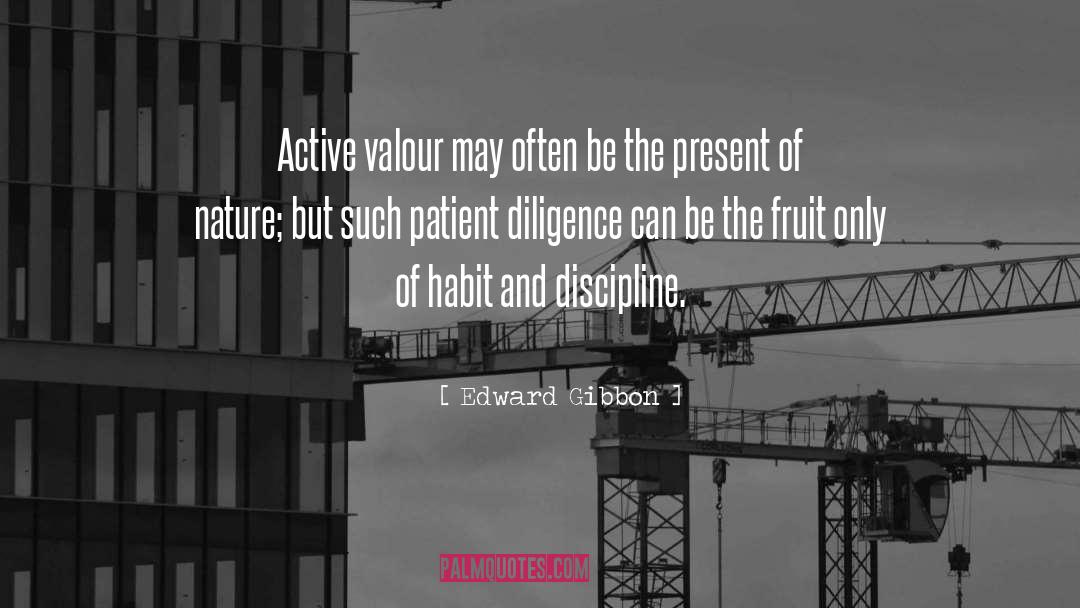 Diligence Solves quotes by Edward Gibbon