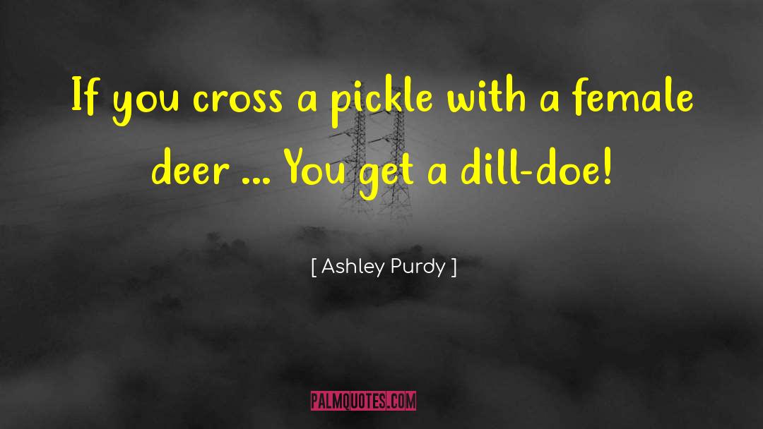 Dill quotes by Ashley Purdy