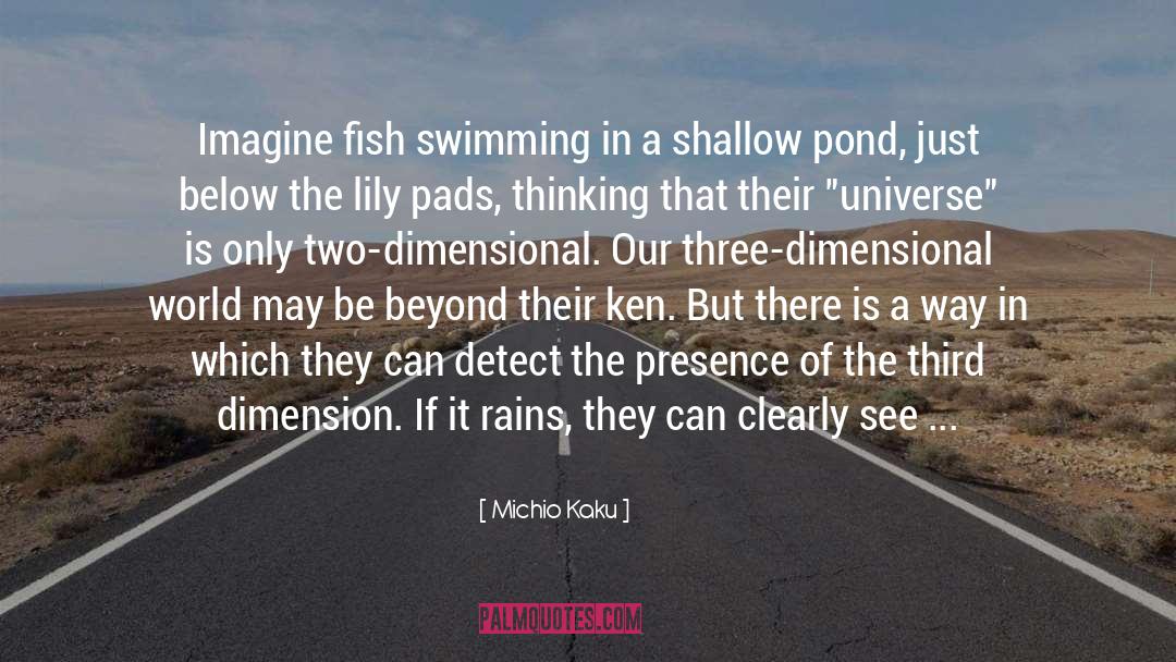 Dimension quotes by Michio Kaku